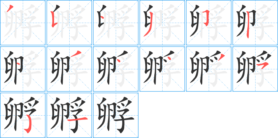 孵字完整笔顺步骤图