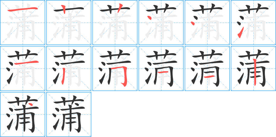 蒲字完整笔顺步骤图