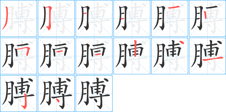 膊字完整笔顺步骤图