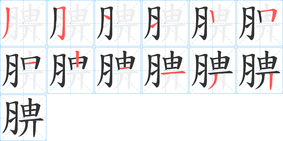 腗字笔顺步骤
