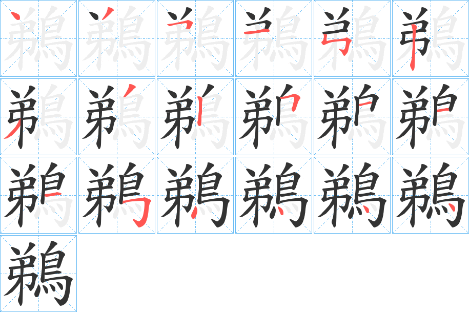 鵜字完整笔顺步骤图