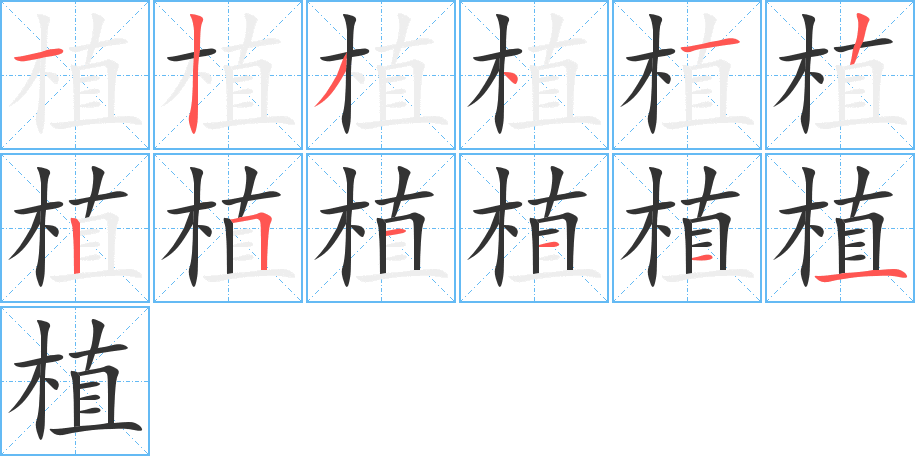 植字完整笔顺步骤图