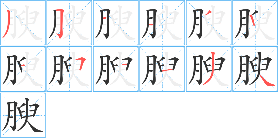 腴字完整笔顺步骤图