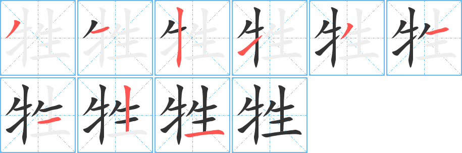 牲字完整笔顺步骤图