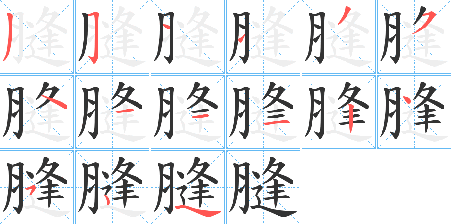 膖字笔顺步骤