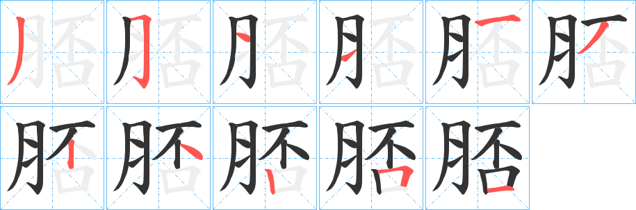 脴字笔顺步骤