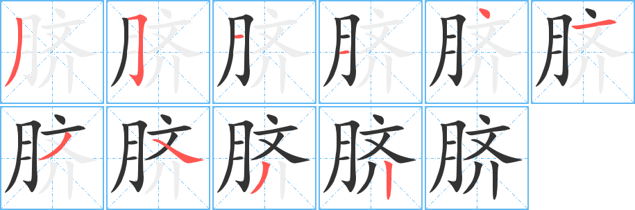 脐字完整笔顺步骤图