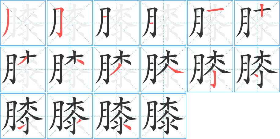 膝字完整笔顺步骤图