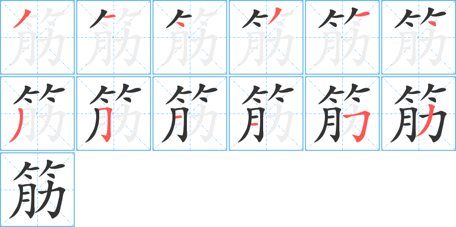 筋字完整笔顺步骤图