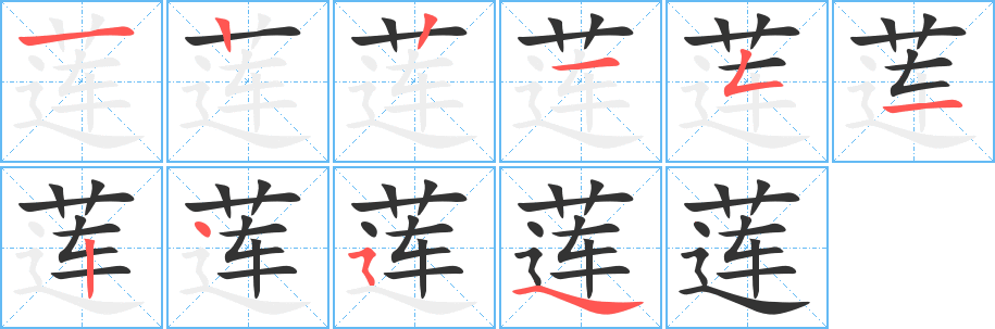 莲字完整笔顺步骤图