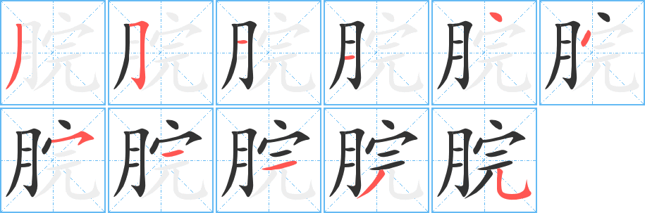 脘字完整笔顺步骤图
