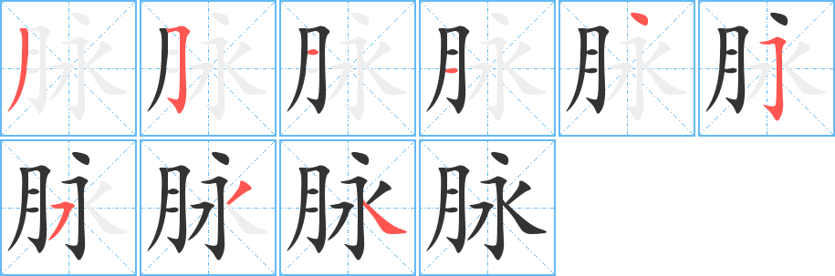 脉字完整笔顺步骤图
