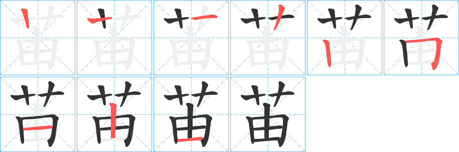苖字笔顺步骤