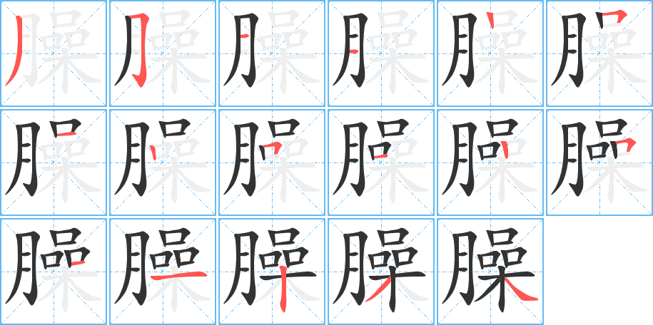 臊字完整笔顺步骤图