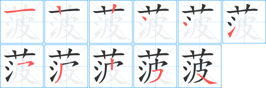 菠字完整笔顺步骤图