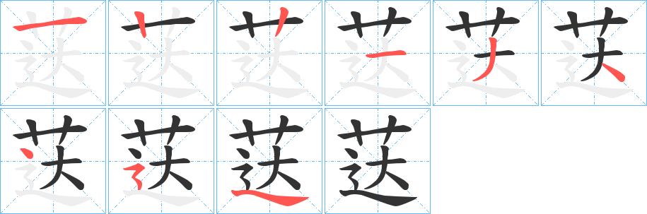 荙字完整笔顺步骤图